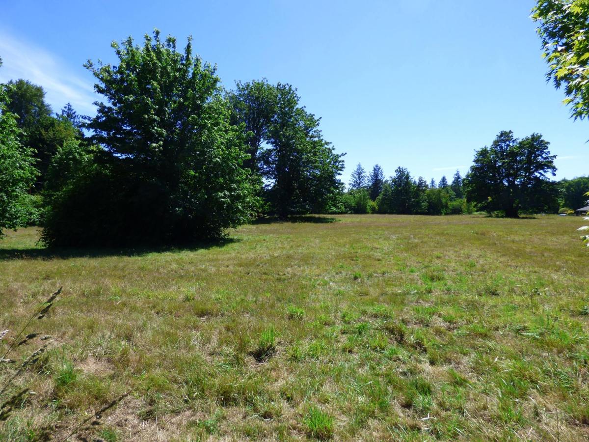 In the beginning, there was the&nbsp;entrepreneur.